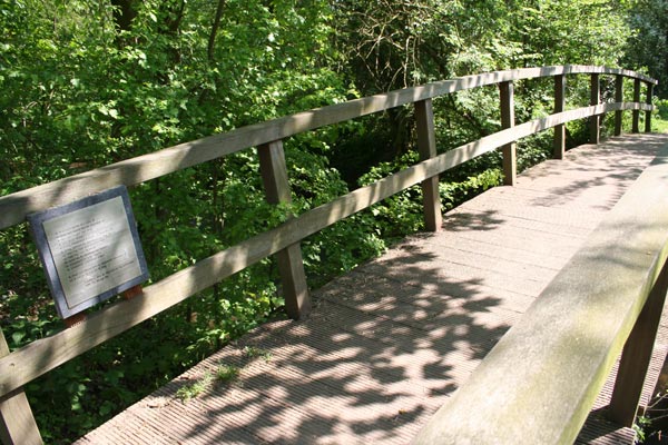 7b ik draai een kleine lucebert